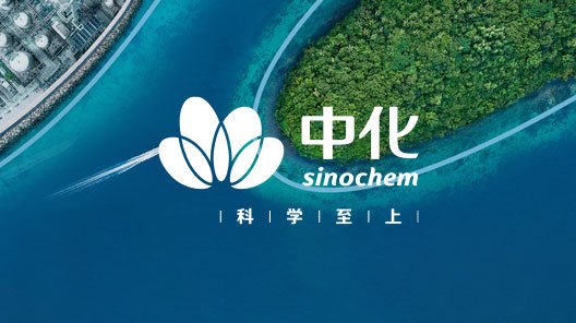 Sinochem Holdings Co., Ltd. (далее —Sinochem Holdings) была образована в результате совместной реорганизации Sinochem Holdings Corporation Ltd. и China National Chemical Corporation и официально учреждена 8 мая 2021 года. Компания является важным ключевым государственным предприятием под надзором Комитета по управлению государственными активами Государственного совета КНР и насчитывает 210 000 сотрудников.